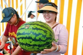 娱乐吃瓜网,吃瓜群众必看幕后故事